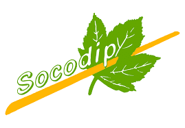 Logo SOCODIP